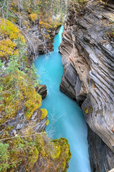 Athabasca fall canyon — Stockfoto