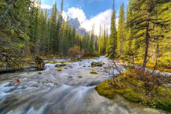 Rzeka spada na jezioro Moraine — Zdjęcie stockowe