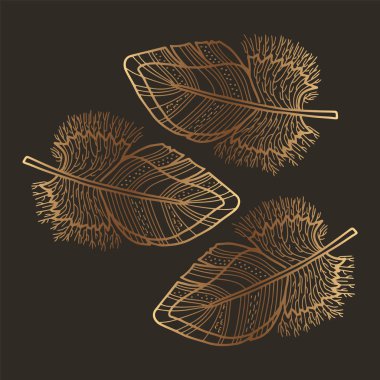 Vektör altın tüy. Altın efektli çizgiler. Dekorasyon, yerleştirme baskısı, tasarım için harika.