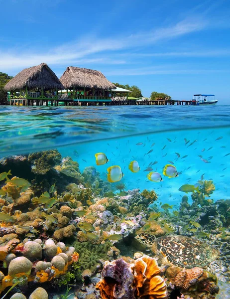 Tropical restaurant and coral reef Caribbean sea