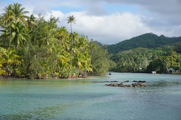 Channel with fish trap and tourists riding horses