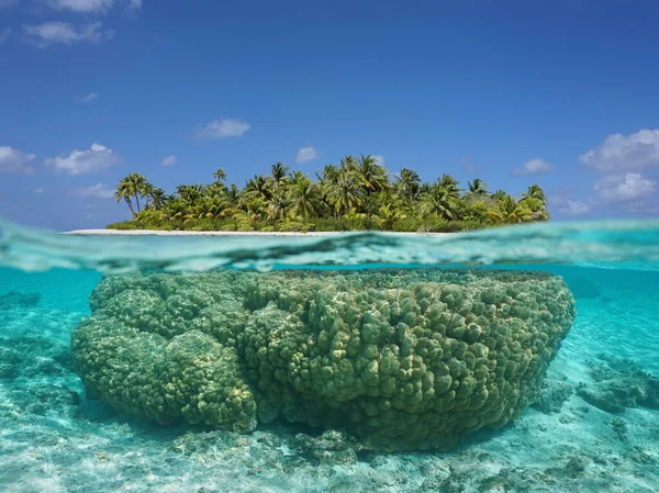Tropical island above and underwater with coral
