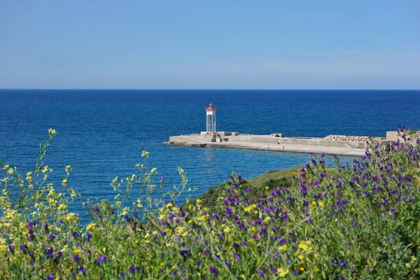 Jetty with lighthouse Port-Vendres France