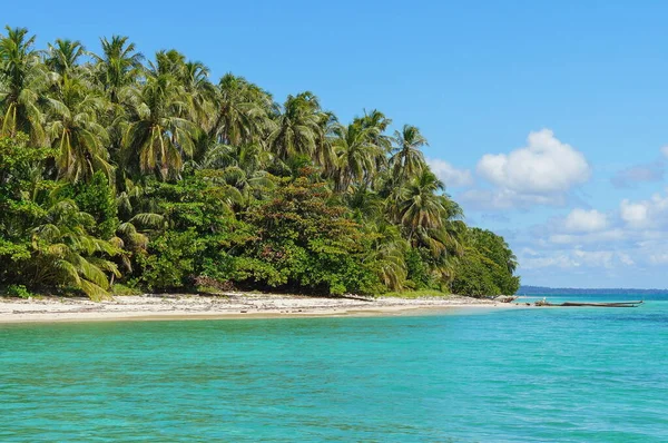 Tropical island sea shore Panama Central America