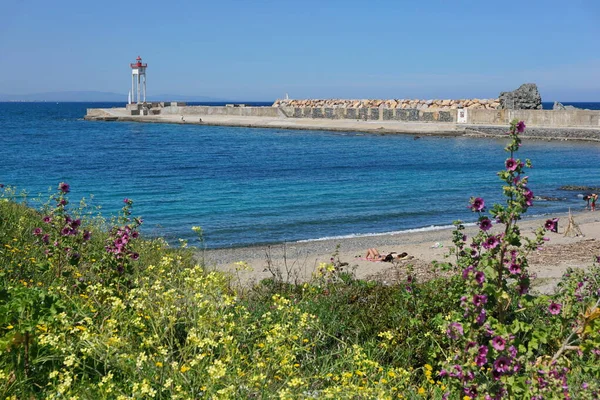 Jetty lighthouse beach flower Mediterranean France