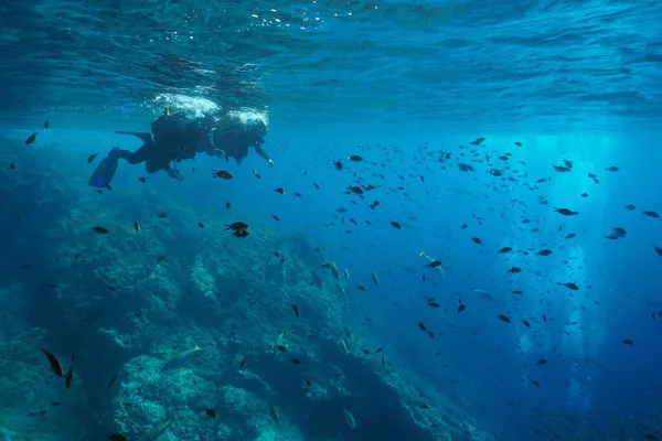 Mediterranean sea scuba diving divers look at fish