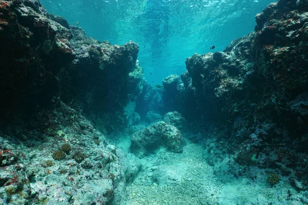 Rocky underwater seascape ocean floor Pacific