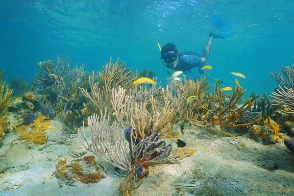 Man snorkeling underwater with corals and fish