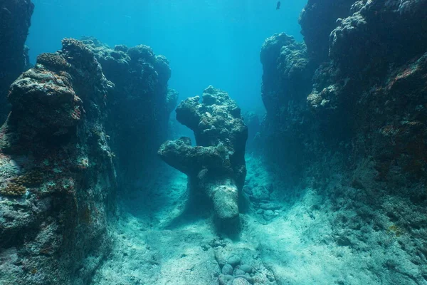 Natural rock formation underwater ocean