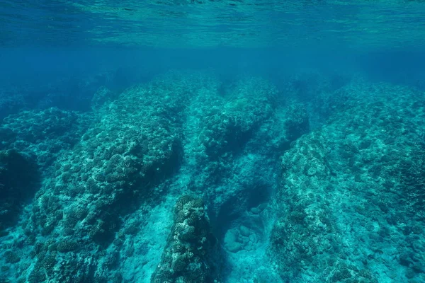 Underwater seascape rocky ocean floor coral reef