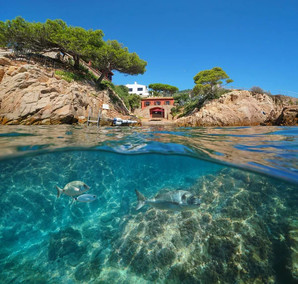 Spain Costa Brava house on coast fish underwater