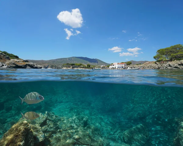 Spain seascape Mediterranean over under water