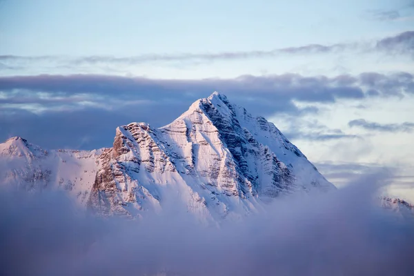산에 있는 새의 모습, 새 의 뿔 사알 바하의 석양 구름 이 청록색 하늘을 덮고 있다 — 스톡 사진