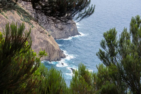 Madeira coastline cliffs Hiking small trail sea — Stock Photo, Image