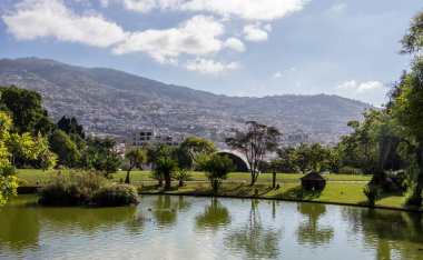 MAdeira Adası 'ndaki bahçelerde bulunan Funchal' da mavi gökyüzü, ülkenin başkentidir. Güzel gezinti güvertesi, küçük evler, arka planda dağlar, doğrudan denize bakan..