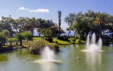 MAdeira Adası 'ndaki bahçelerde bulunan Funchal' da mavi gökyüzü, ülkenin başkentidir. Güzel gezinti güvertesi, küçük evler, arka planda dağlar, doğrudan denize bakan..