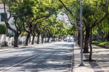 MAdeira Adası 'ndaki Funchal' da mavi gökyüzü, ülkenin başkentidir. Her iki tarafında da sokak gibi ağaçlar olan yol. Güzel gezinti güvertesi, küçük evler, arka planda dağlar, doğrudan denize bakan..