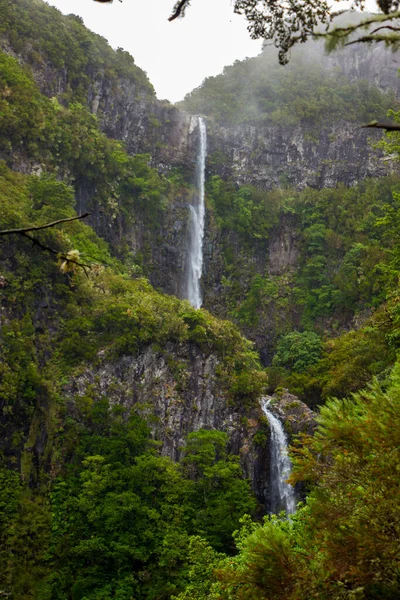 在马德拉热带森林的中央 有一个著名的壮观的自然事件 里斯科瀑布 它是由两个瀑布组成的瀑布的瀑布 在热带森林的美丽的绿色自然中 — 图库照片