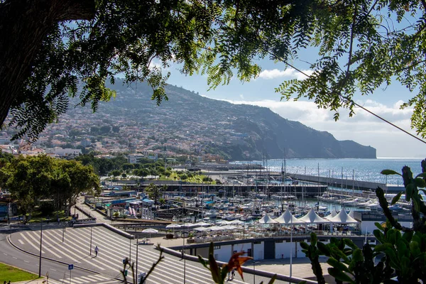 Błękitne Niebo Funchal Wyspie Madeira Jest Jej Stolicą Piękna Promenada — Zdjęcie stockowe