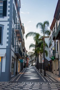 MAdeira Adası 'ndaki Funchal' da mavi gökyüzü, ülkenin başkentidir. Güzel bir sokak, küçük evler, arka planda palmiye ağaçları, doğrudan denize bakan..