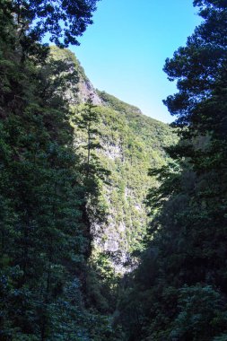 Madeira Adası, Portekiz ufuk manzarası ve merkez madeira 'daki yaklaşık 2000 metre yüksekliğindeki dağların muhteşem manzarası. Yüksek dağlar pico ariero pico ruivo yürüyüş yolu. Adanın etrafındaki okyanusun üzerinde bulut denizi olan güzel tepeler. Mavi gökyüzü