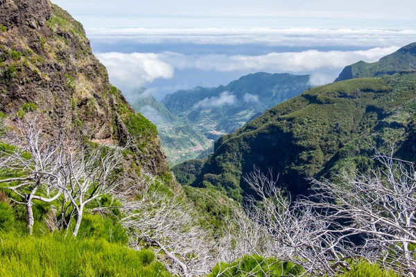 Caminhadas Nas Montanhas Centrais Madeira Com Bela Paisagem Horizonte Céu — Fotografia de Stock