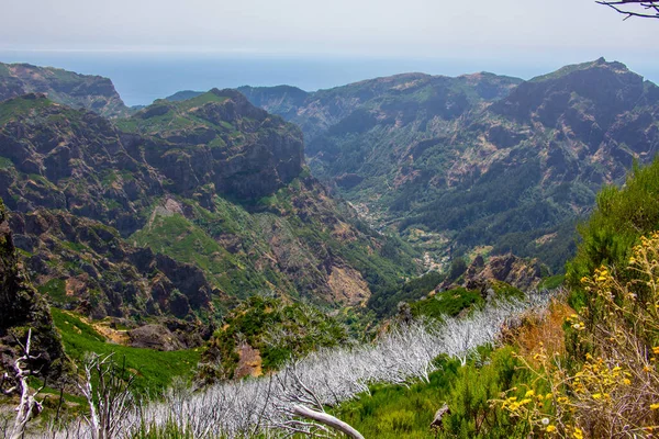 Güzel Manzaralı Madeira Merkez Dağlarında Yürüyüş Beyaz Yanmış Orman Ufuk — Stok fotoğraf