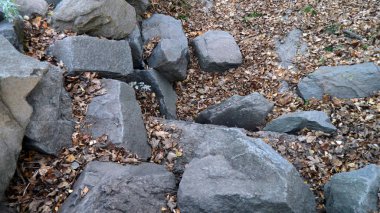 Büyük taşlar, dökülen yapraklar, sonbahar