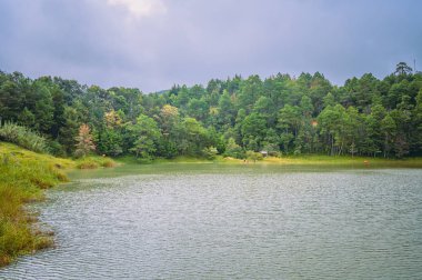 Önünde bir göl ve bulutlu bir gün olan yemyeşil ormanın dağlık manzarası.