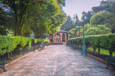 Bir parkın ortasında Meksika büfesi, çevresini çevreleyen yeşil ağaçlar ve arka planda bulutlu bir gökyüzü.
