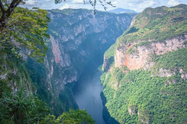 Grijalva nehrinin geçtiği Caon Del Sumidero 'nun yüksekliğinin arkaplanda berrak bir gökyüzü var..