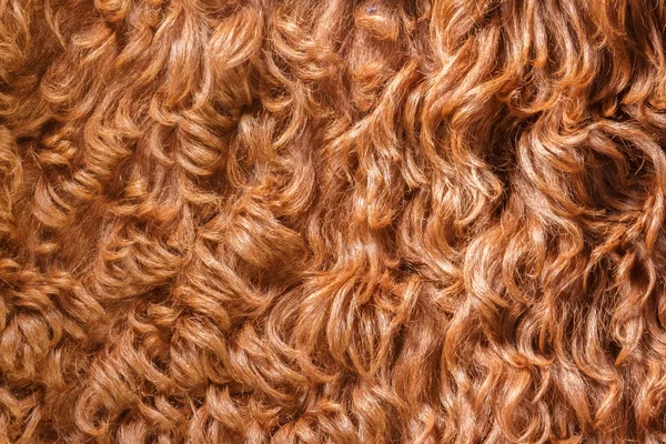 Pelo di pecora cesoia marrone. Tappeto di pelle di pecora naturale sfondo . — Foto Stock