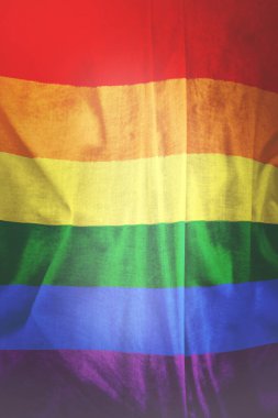 Eşcinsel Gurur Hareketi 'nin hem renkli hem de boyut olarak resmi bayrağı Gökkuşağı Bayrağı, Lgbt Bayrağı. Hoşgörü konsepti. Hoşgörü konsepti. Doğru renk şemasına sahip topluluk.
