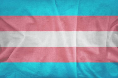 Transseksüel bayrağı ya da mavi ve pembe şeritli trans pankart. Cinsel azınlıkların türü.
