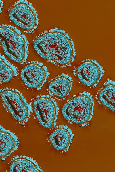 Vírus Humano Gripe Vista Microscópio Doença Viral — Fotografia de Stock