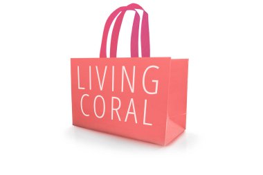 Lüks mağazalar için özel alışveriş torbaları.