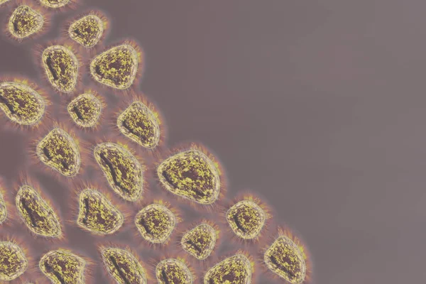 Virus manusia, flu, pandangan virus di bawah mikroskop, wabah penyakit virus. Penyakit Infeksi. Rendering 3d — Stok Foto