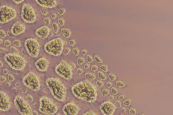 Virus manusia, flu, pandangan virus di bawah mikroskop, wabah penyakit virus. Penyakit Infeksi. Rendering 3d — Stok Foto
