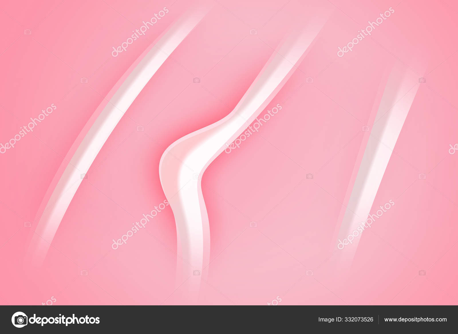 Système Reproducteur Clitoris Féminins Utérus Col Utérus Ovaires