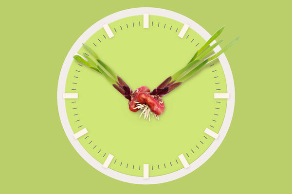 Луковицы гладиолуса цветы изолированы на белом фоне. Мбаппе
