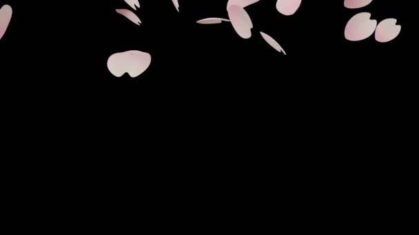 3Dcg桜の動画 — ストック動画