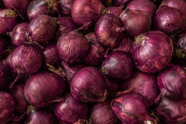 Yerden çıkarılan bir sürü taze soğan yüzeye saçılmış, yakın plan.