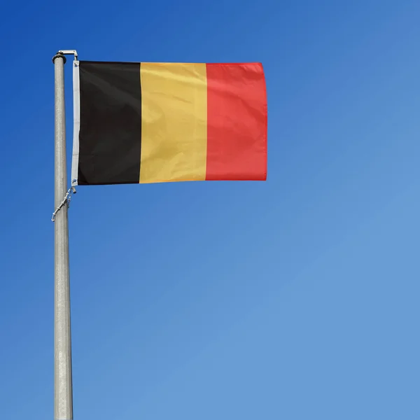 Belgisk Flagga Den Blå Himlen — Stockfoto