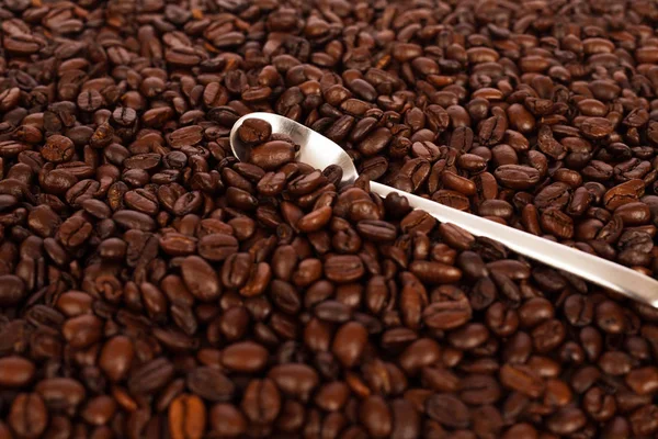 Gebrande Koffiebonen Met Witte Lepel Close Als Achtergrond — Stockfoto