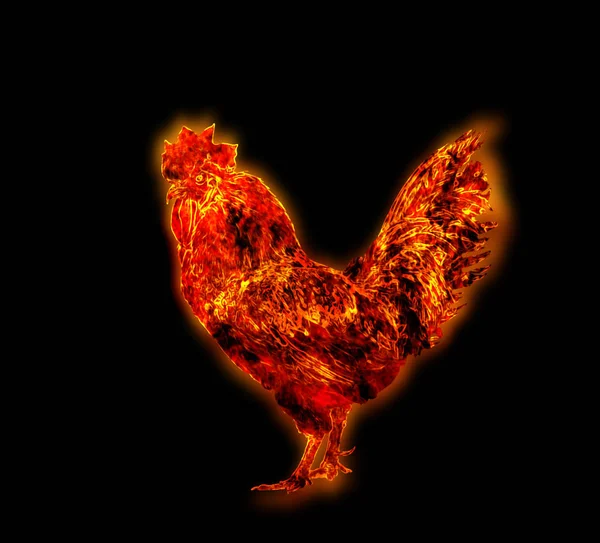 Galo de fogo colorido. símbolo do Ano Novo Chinês. Pássaro de fogo, pau vermelho. Feliz Ano Novo 2017 cartão — Fotografia de Stock