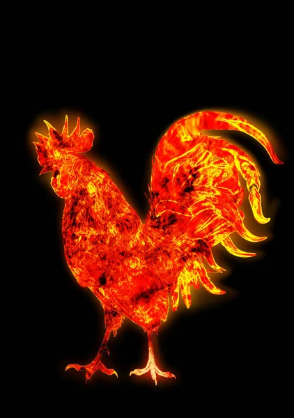 Coq de feu coloré. symbole du Nouvel An chinois. Oiseau de feu, bite rouge. Bonne année 2017 carte — Photo