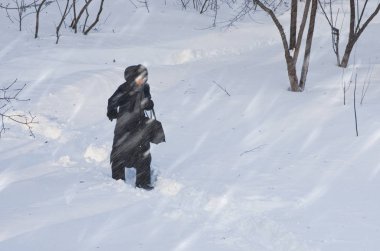 Bulutlu. Doğal afetler kış, blizzard, şiddetli kar yağışı felç şehir araba içi, Daralt. Kar kaplı Siklon