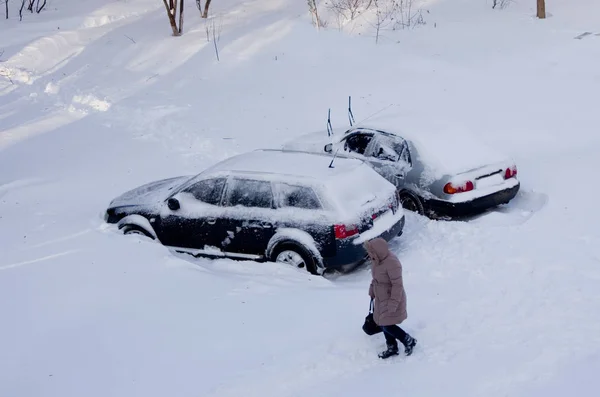 Nublado Desastres Naturales Invierno Ventisca Nieve Pesada Paralizado Carreteras Automóviles —  Fotos de Stock