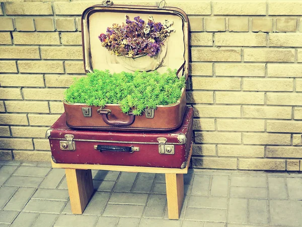 Eski retro vintage bavul valiz ahşap kurullarında. Toplama toplama şekilde seyahat ve tatil yol. Arka plan doku