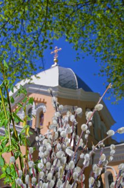 Christian Ortodoks Kilisesi. Kutlama. Palm Pazar